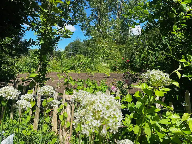 lekker biologisch eten uit eigen moestuin